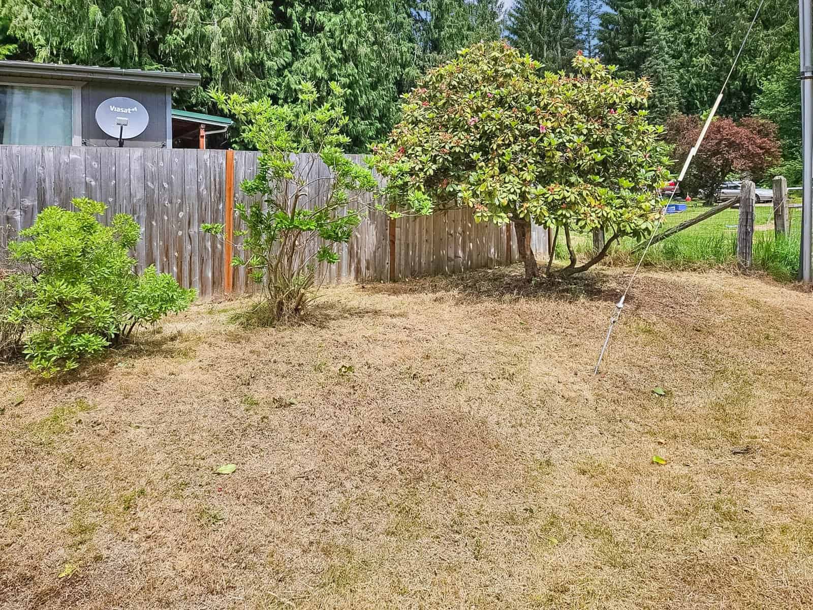 Fenced backyard with mature shrubs at the Concrete, WA rent-to-own property