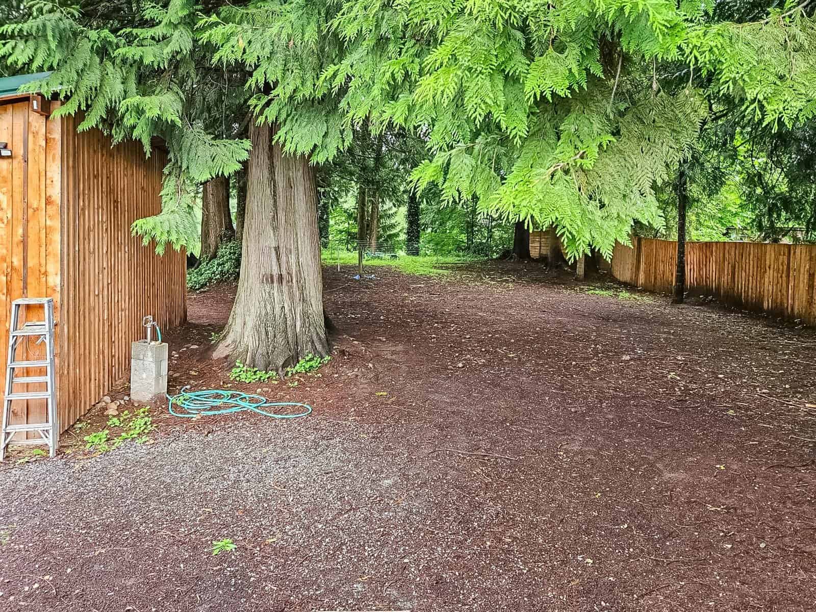 Fenced backyard with mature trees and shed on the Concrete, WA property