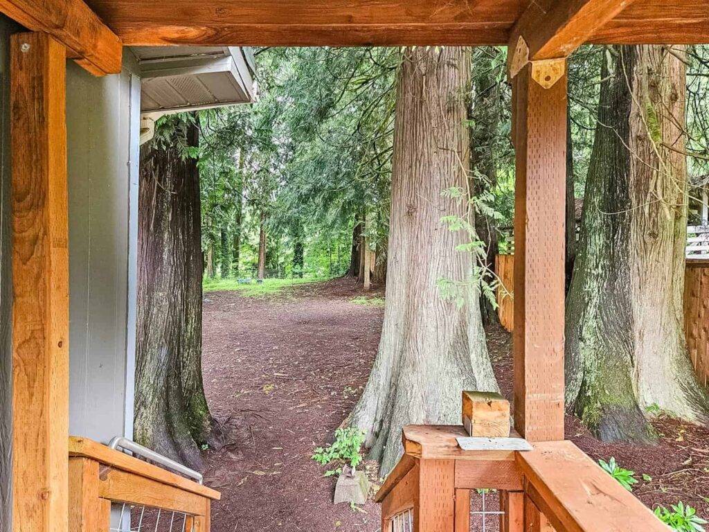 Rent to own Concrete WA riverfront home on Baker Loop Road, covered deck looking over the wooded Skagit River lot