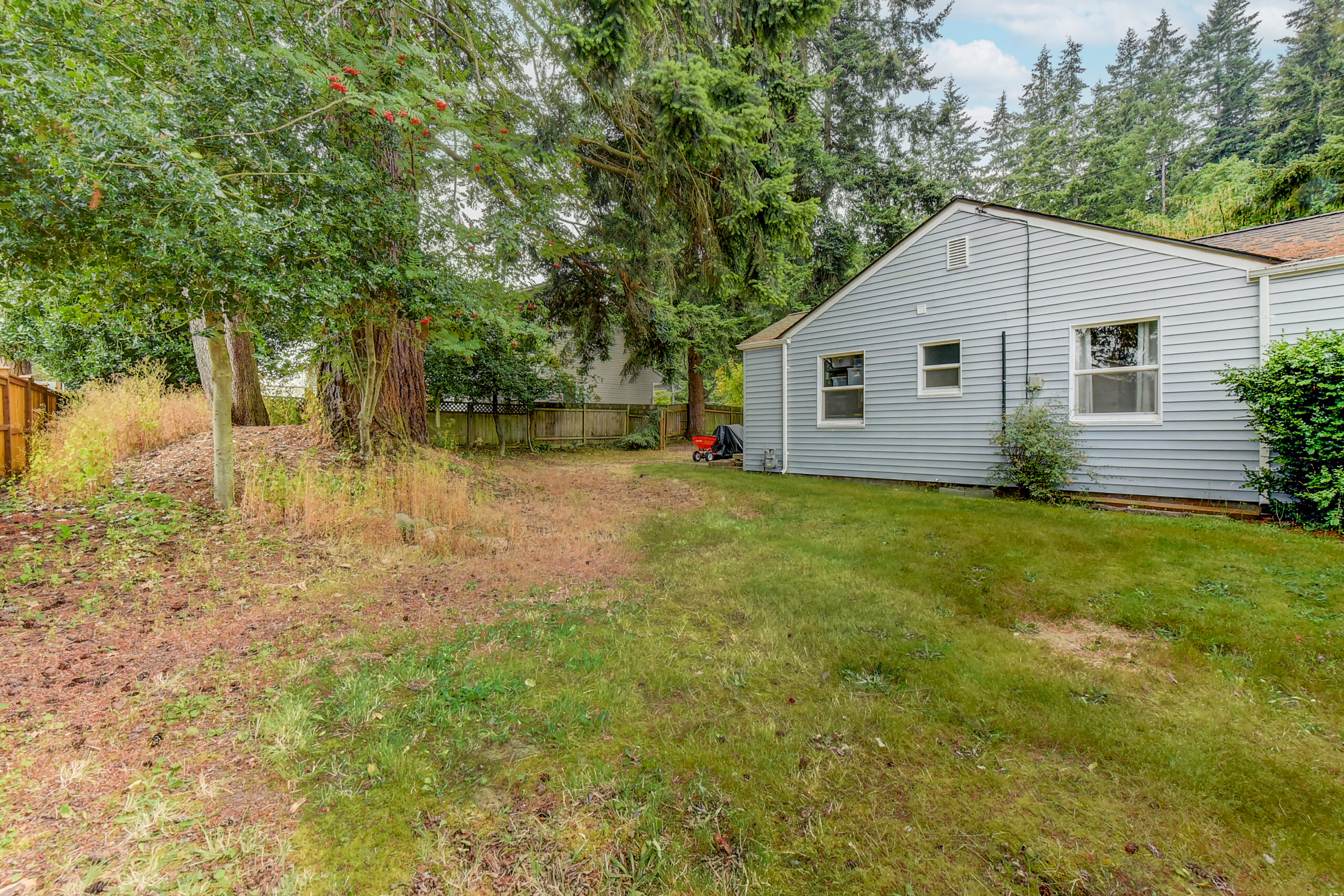 Fenced backyard with mature trees and lawn at the Everett rambler on Madison St