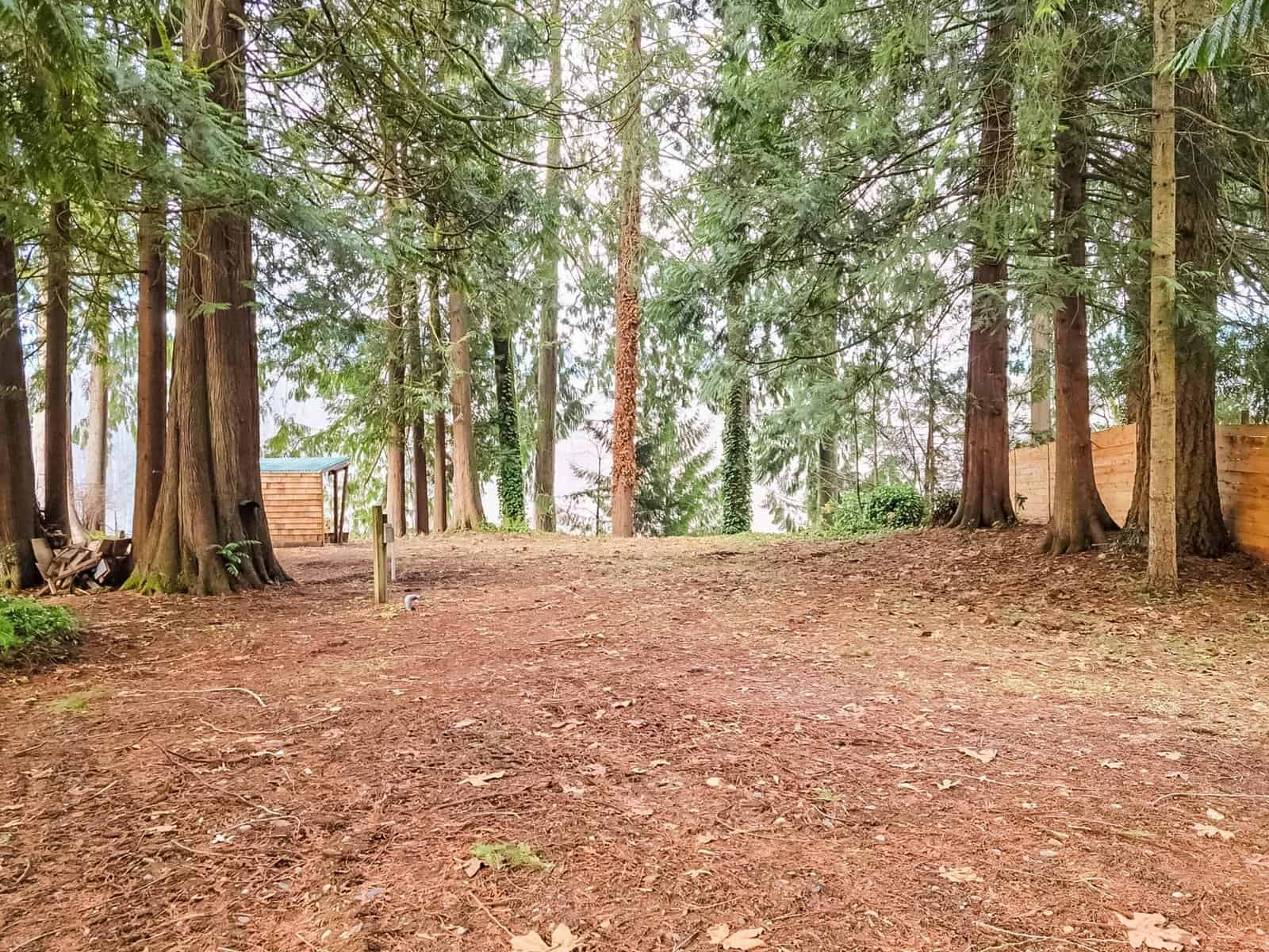 Wooded lot with outbuilding near Skagit River at the Concrete, WA property