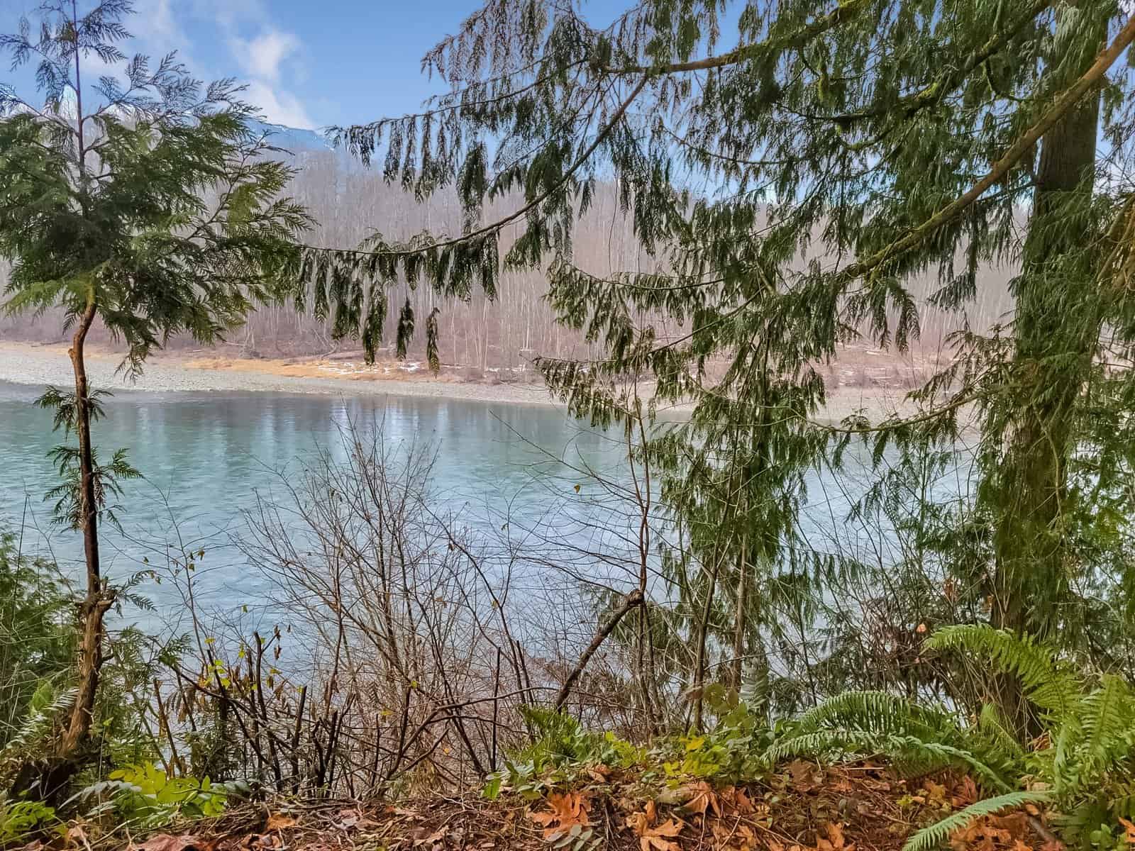 Skagit River frontage view from the wooded property at 46649 Baker Loop Road, Concrete