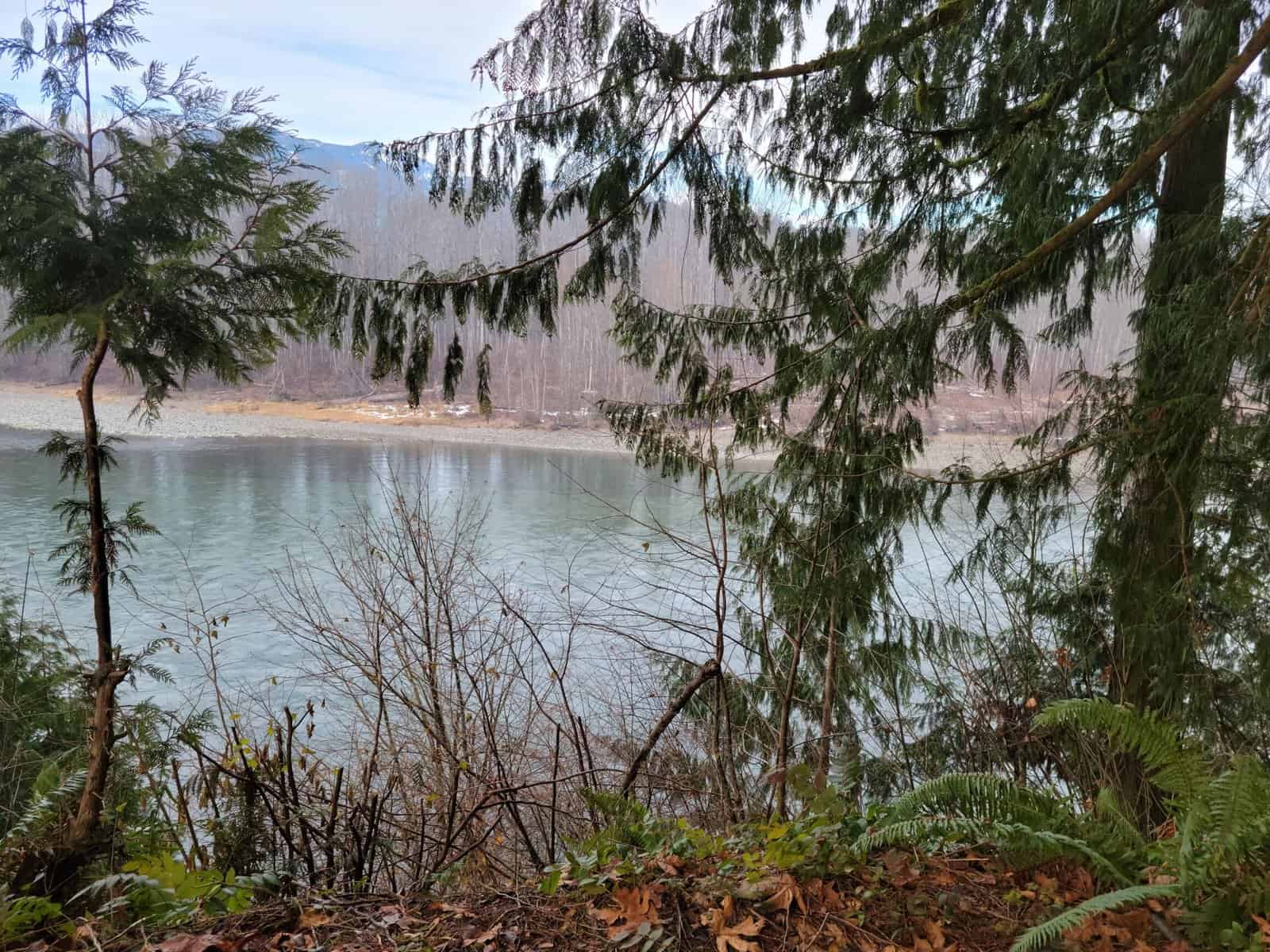 Skagit River frontage view from the treed property in Concrete, WA