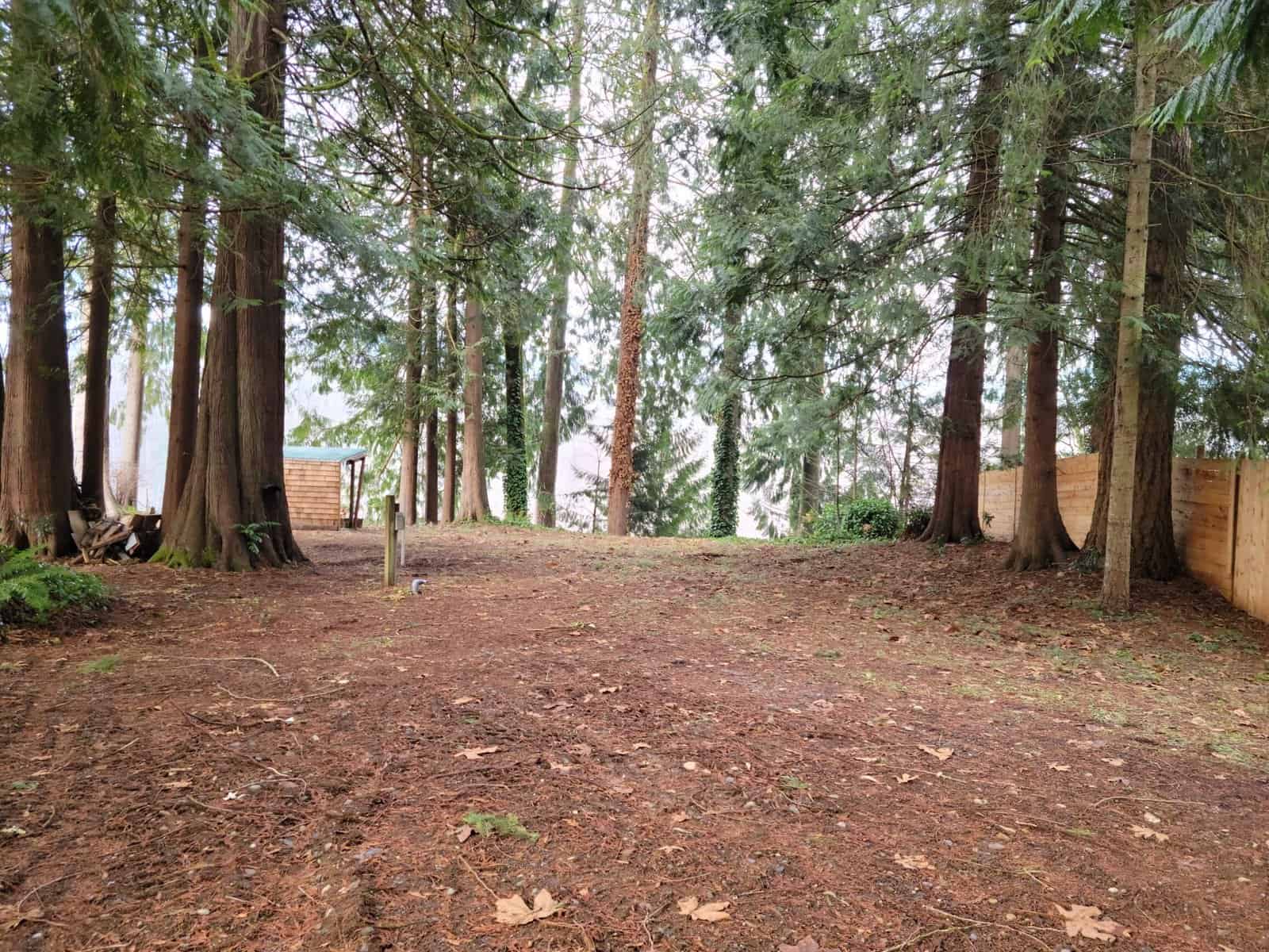 Wooded lot with fenced yard and shed near Skagit River frontage in Concrete, WA