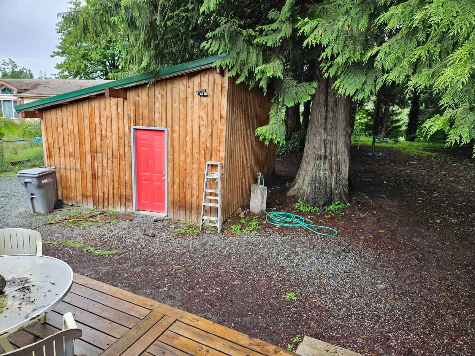 Wooden outbuilding with red door and yard space at the Concrete, WA property