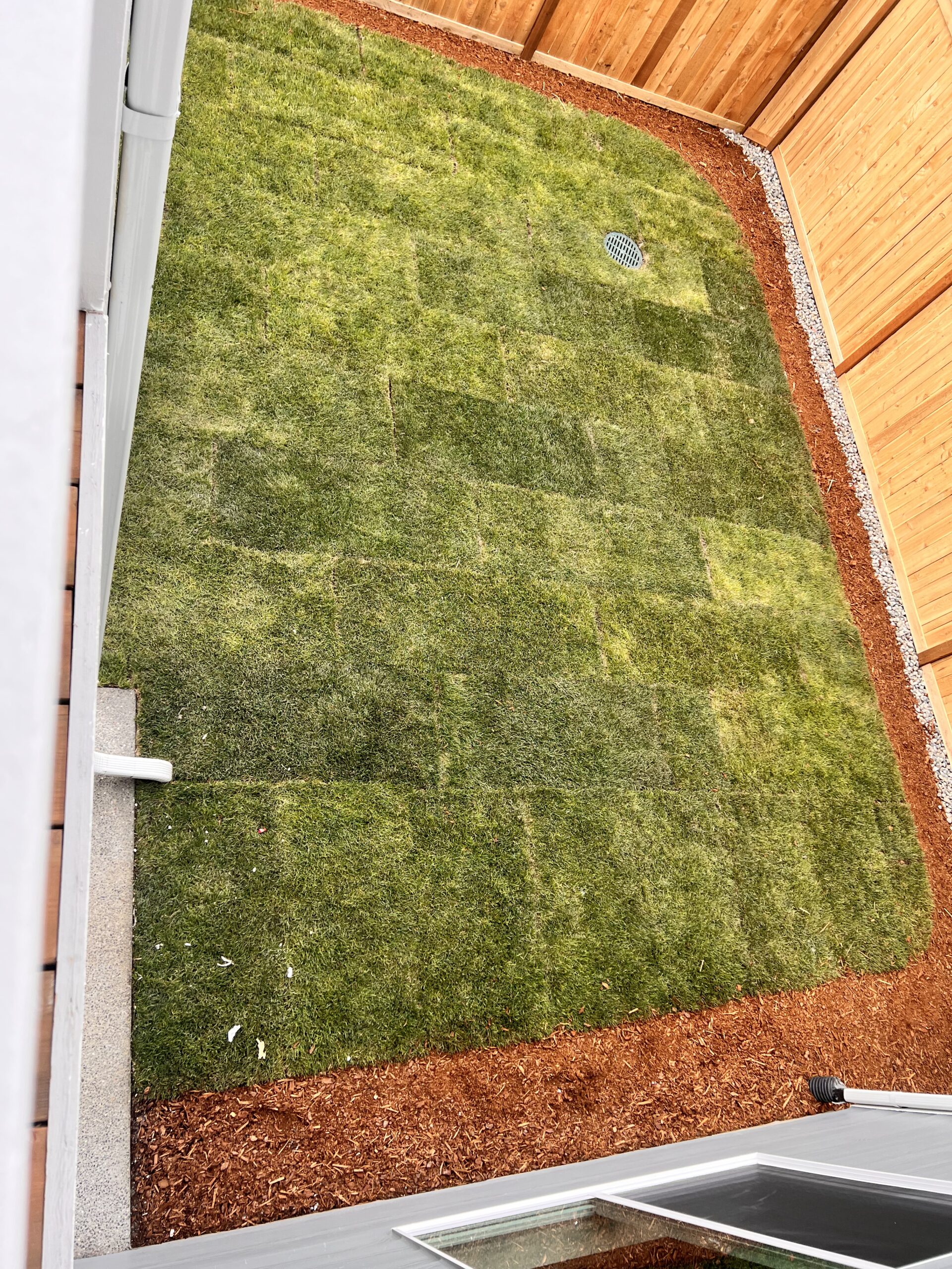 Fenced backyard with fresh sod and mulch beds at the Port Orchard rent-to-own home
